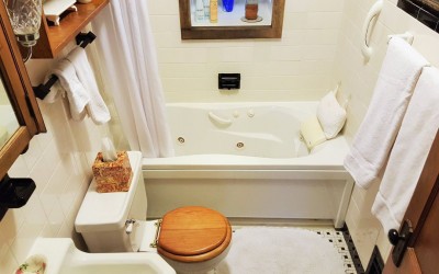Old Orchard BNB St. Louis 10